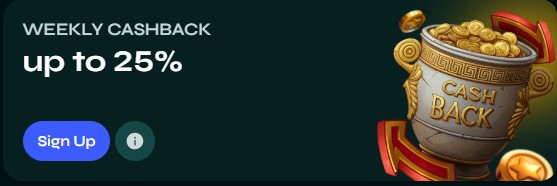 savaspin cashback